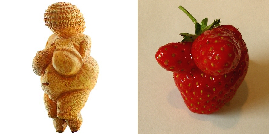 (l) venus of willendorf / (r) j newton . summer strawberry 2008